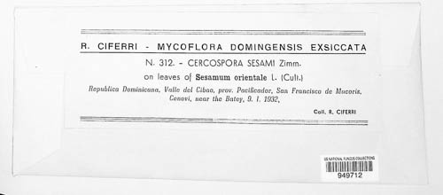 Cercospora sesami image